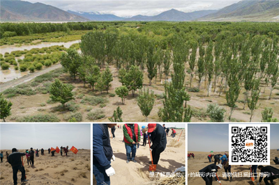 守護生命奇跡 奇瑞汽車攜手公益行動推動普氏野馬與雙峰野駱駝保護及資源再生技術研發